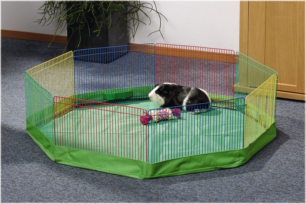 Ground cover for Rodent Ren Color DRD Knaagdierwinkel