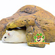 Rock Cave House for Mice, Hamsters, and Gerbils