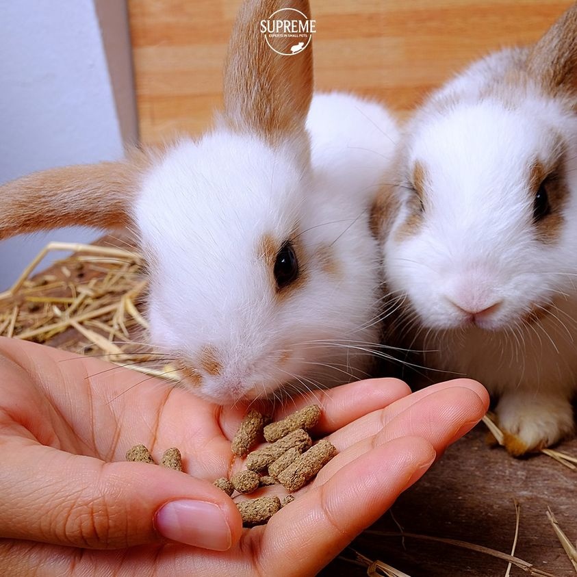 Supreme Science Selective Rabbit Junior - Nourriture pour lapin - 3 x 1,5  kg