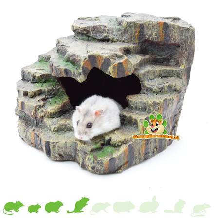 Trixie Skała narożna w lesie deszczowym