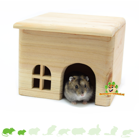 Trixie Nail-free Wooden Block House Blank