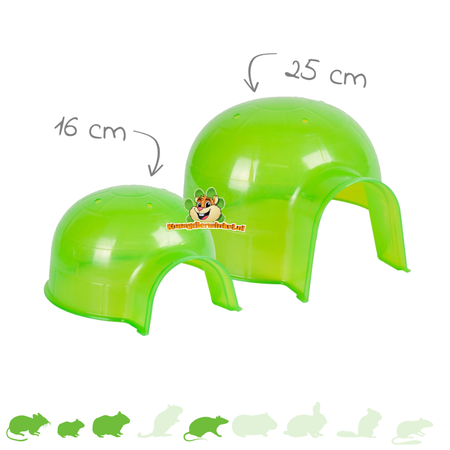 Maison verte pour rongeurs Igloo