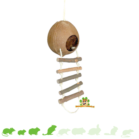 Trixie Maison en noix de coco avec échelle 13 cm