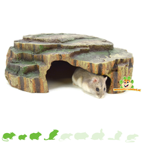 Rainforest Shelter 30 cm