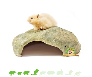 Hamsterscape Stenen Berg