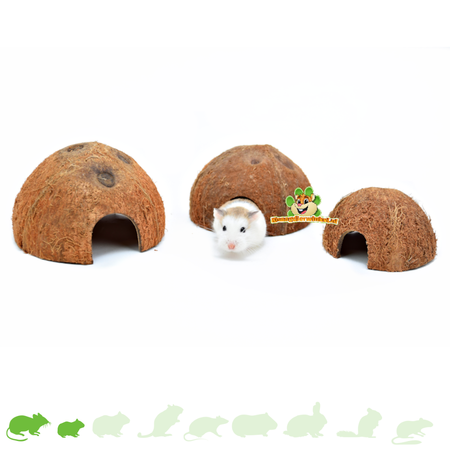 Trixie Demi-noix de coco (3 pièces)