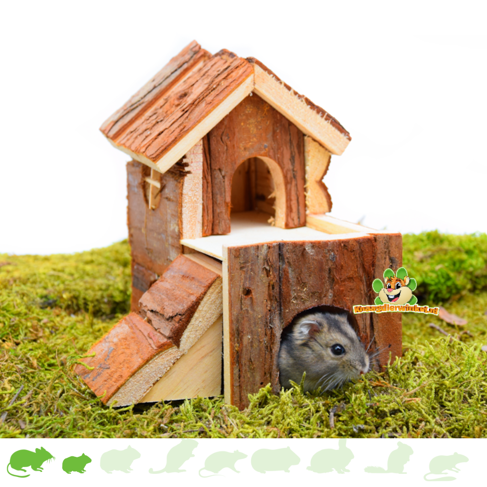 Verbonden heden condensor Trixie Hamsterscaping Huis Bjork 15 cm voor Muizen & Dwerghamsters! | DRD  Knaagdierwinkel®