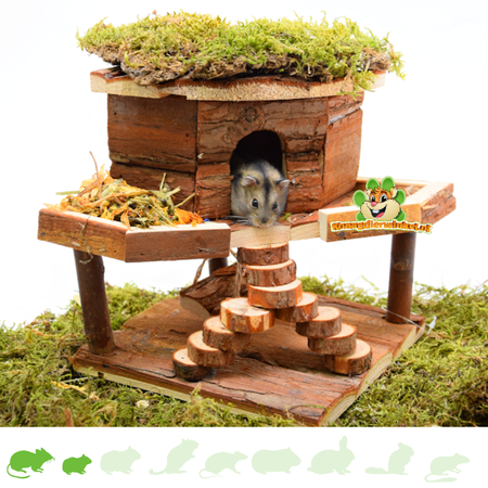 Trixie Hamsterscaping Hamsterhaus Ida 20 cm für Mäuse und Zwerghamster
