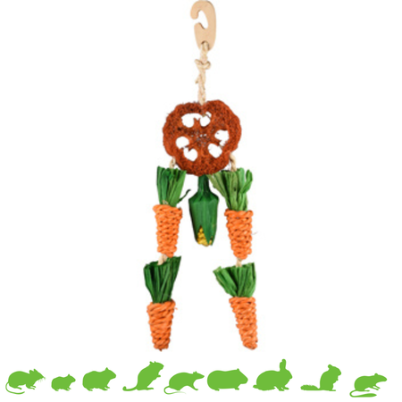 Carrot Dreamcatcher 30 cm for Rodents & Rabbits!