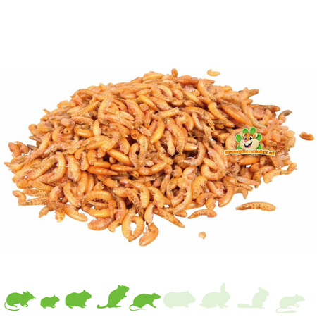 Knaagdierwinkel® Amphipodes Gammarus 80 grammes
