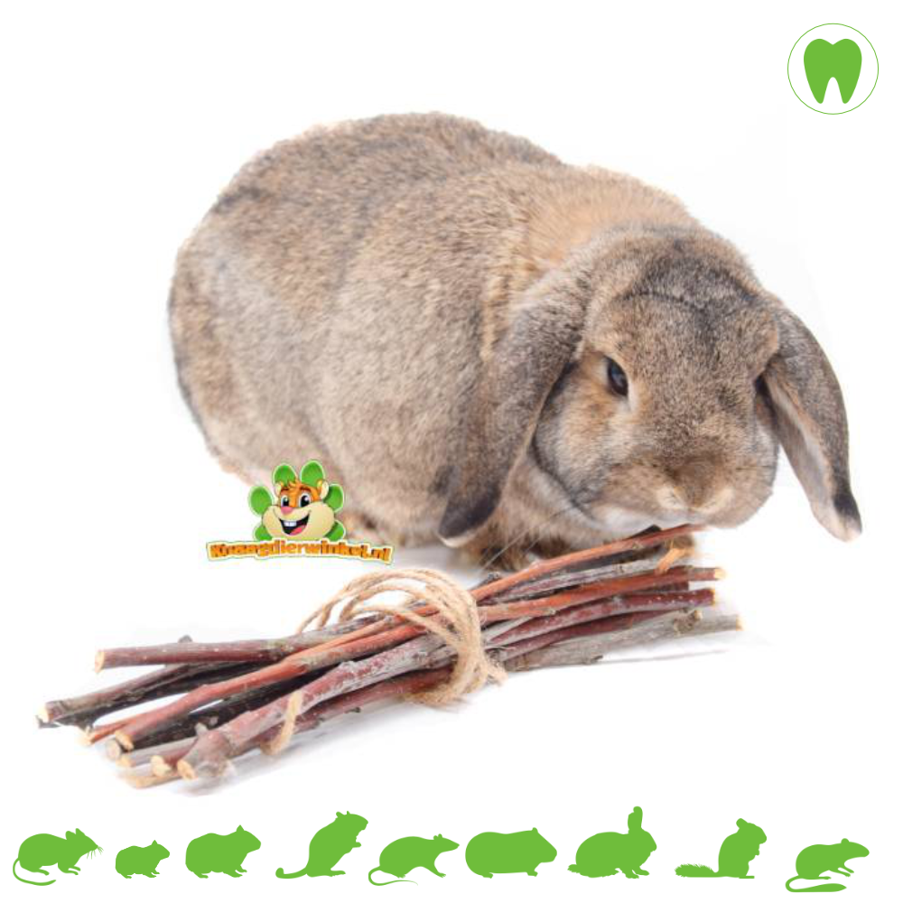 Juego de 8 juguetes de madera para hámster, conejillo de indias, madera de  manzana natural, conejo, rata, conejo, chinchillas, hámsteres enanos
