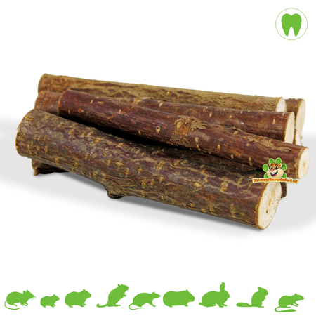 JR Farm Nibble Gnaw Wood Hazelnut