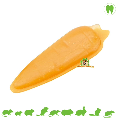 Ferplast Petite pierre à ronger Goodbite naturelle pour rongeurs et lapins !