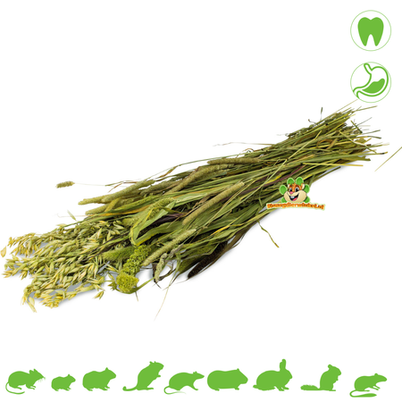 JR Farm Cosecha de pradera