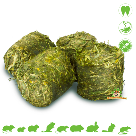 JR Farm JR Farm Getreidefreie Gesundheits-Vital-Magenblöcke 300 g
