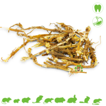 Nettle Root