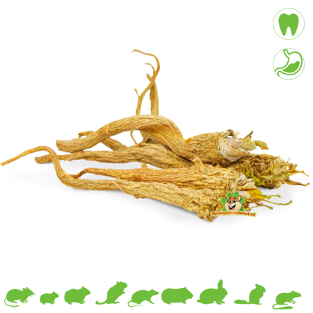 JR Farm Parsley root 50 grams for rodents & rabbits!