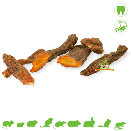 JR Farm Carottes Carottes pour rongeurs et lapins