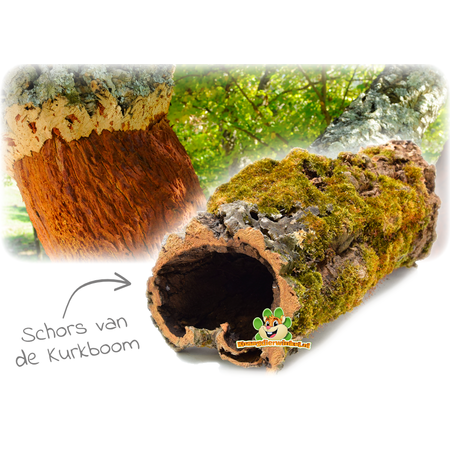 Trixie Tunnel de Cork