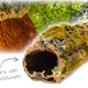 Trixie Kurktunnel M & L voor Hamsterscaping & Gerbilscaping