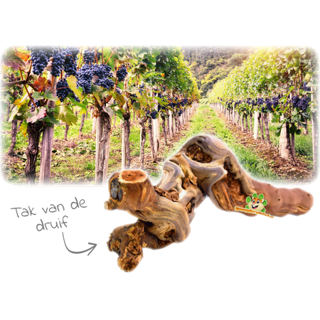 Trixie Sandblasted Grapevine