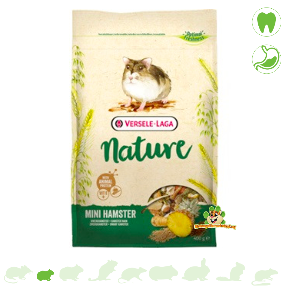 Snor metgezel menu Versele-Laga Mini Hamster Nature 400 gram Dwerghamstervoer | DRD  Knaagdierwinkel