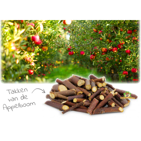 JR Farm Nibble Gnaw Wood Apple