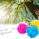 Colored Willow Balls 3.5 cm for Rodents & Rabbits!