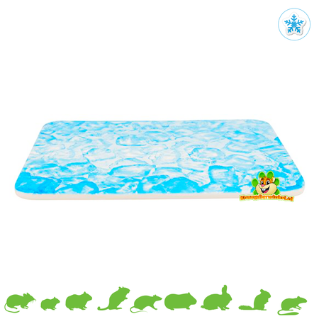 Trixie Ceramiczny niebieski kamień chłodzący