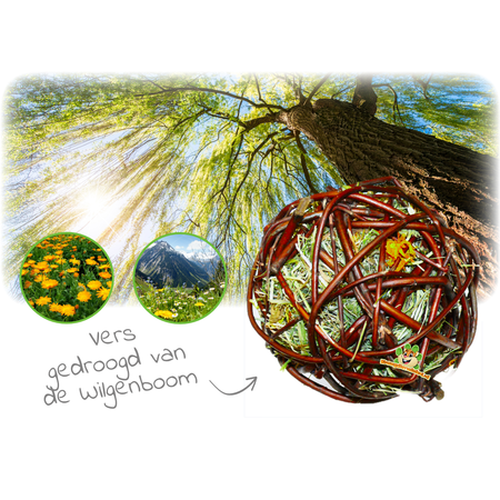 JR Farm Willow Ball Mountain Meadow Jouet de recherche de nourriture pour foin et souci