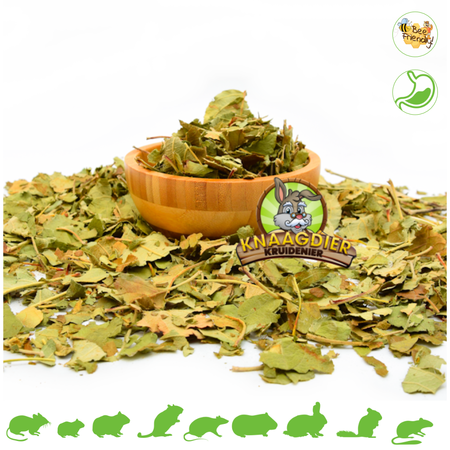 Dried Apple Tree Leaves for Rodents & Rabbits!