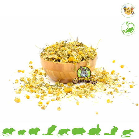 Dried Chamomile Flowers for Rodents & Rabbits!