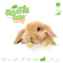 Snuffle box Rabbit #06