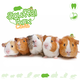 Knaagdierwinkel® Sniffing Box Guinea Pig #08