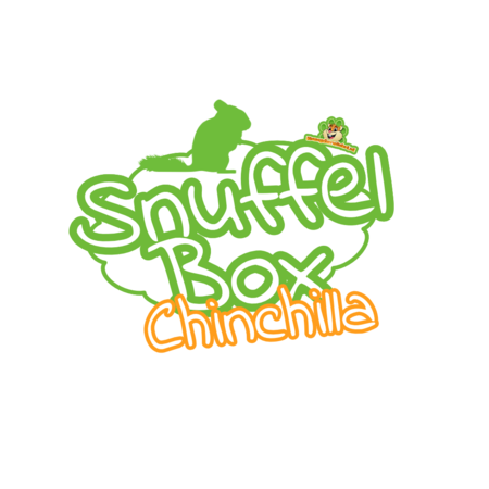 Knaagdierwinkel® Snuffelbox Chinchilla #08