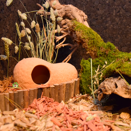 Terrakotta-Haus 21 cm für Nagetiere!