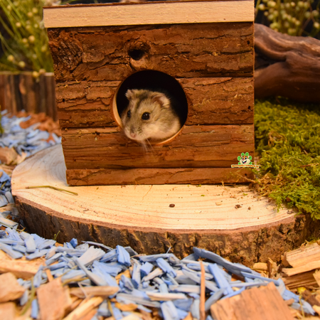 Trixie Natural Living Huis Jerrik 15 cm voor Kleine Knaagdieren