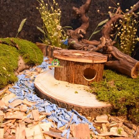 Domek Drewniany Pusty 17 cm dla Gryzoni!