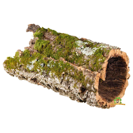 Trixie Tunnel de liège L