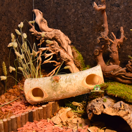 Hugro Tunel z pnia brzozy Heinsberg dla gryzoni!