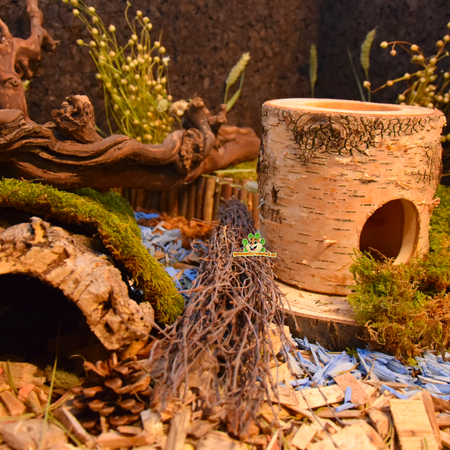 Hugro ¡Mordiste escoba de abedul para roedores y conejos!