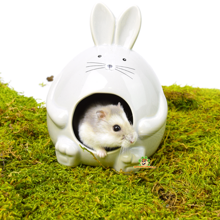 Casita para hámster y baño Hopper Gris 11 cm