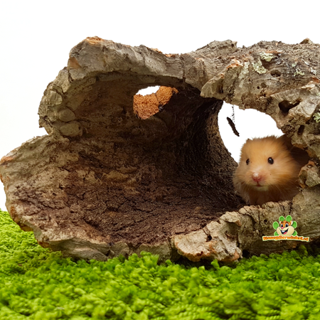 Trixie Tunel korkowy L