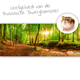 Knaagdierwinkel® Fond de terrarium HD Habitat du hamster nain russe