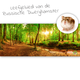 Knaagdierwinkel® Fondo de terrario en HD: Hábitat del hámster enano ruso