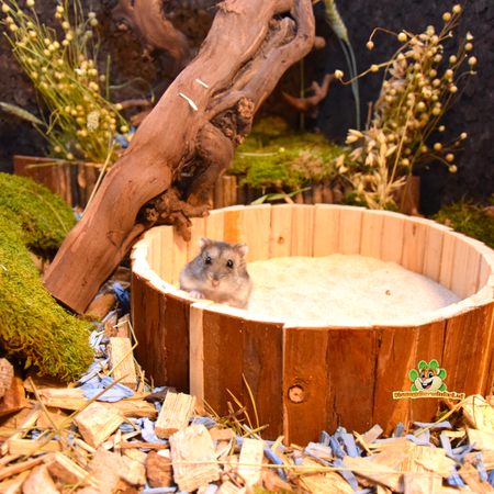 OUTLET Hamsterscaping Zandbak