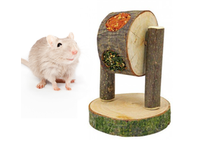 Gerbil Spelen & Foerageren