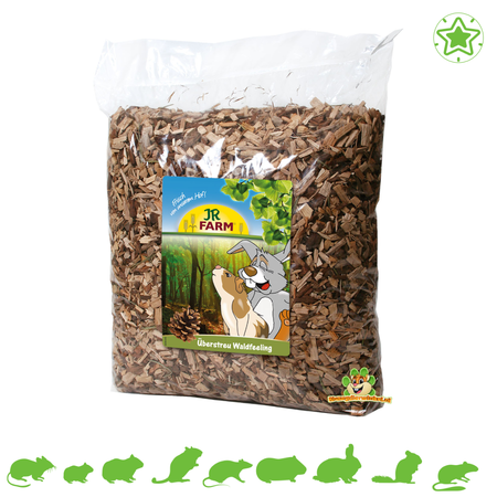 JR Farm Litter Forest feeling with pine cones ground cover