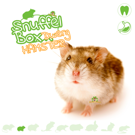 Knaagdierwinkel® Boîte à renifler hamster nain #1