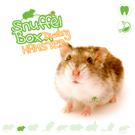 Knaagdierwinkel® Dwarf hamster sniffing box #1